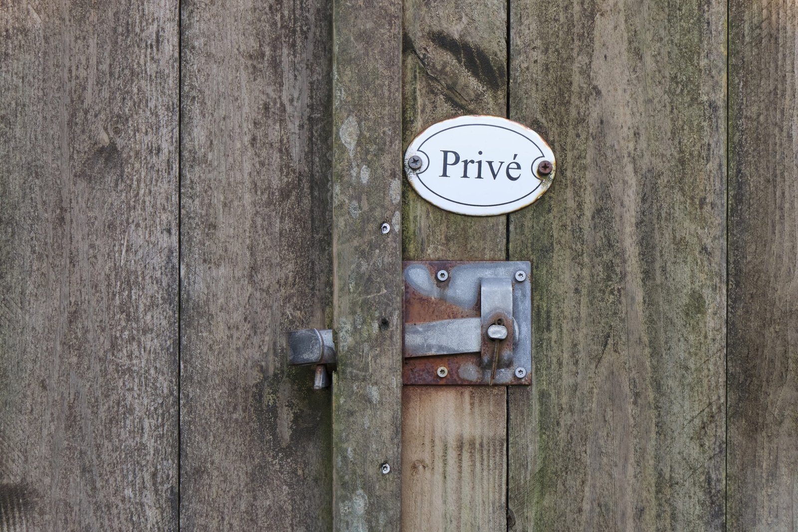 dewoocoordinator.com en wooverzoek.com , dedocumentalist.com departcipant.com